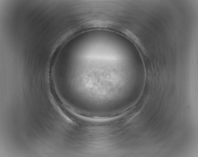 X0000068850581200605191953