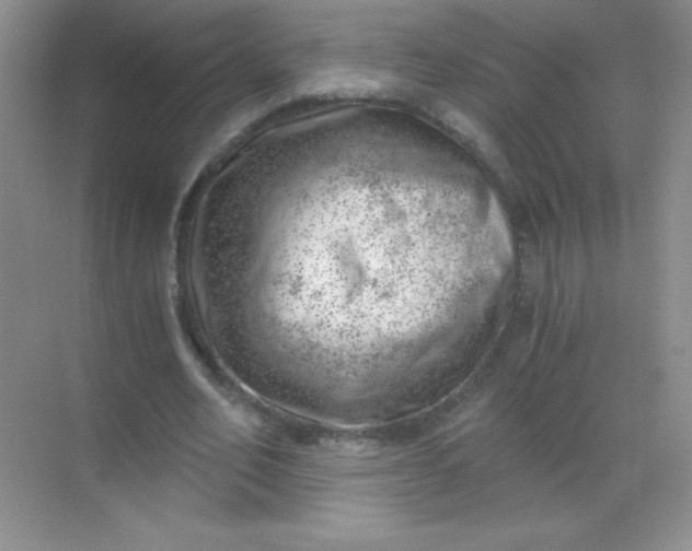 X0000068850582200605191953