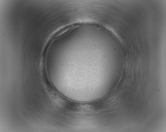 X0000068850583200605191953