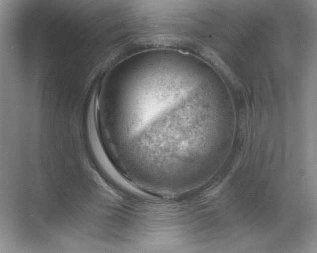 X0000068850585200605191953