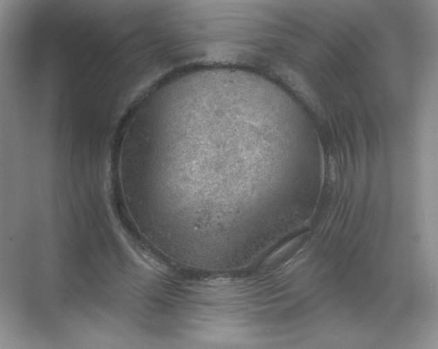 X0000068850588200605191953