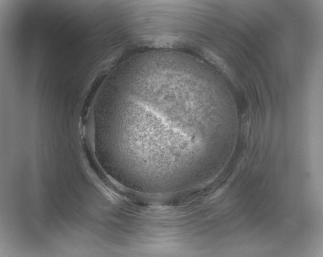 X0000068850589200605191953