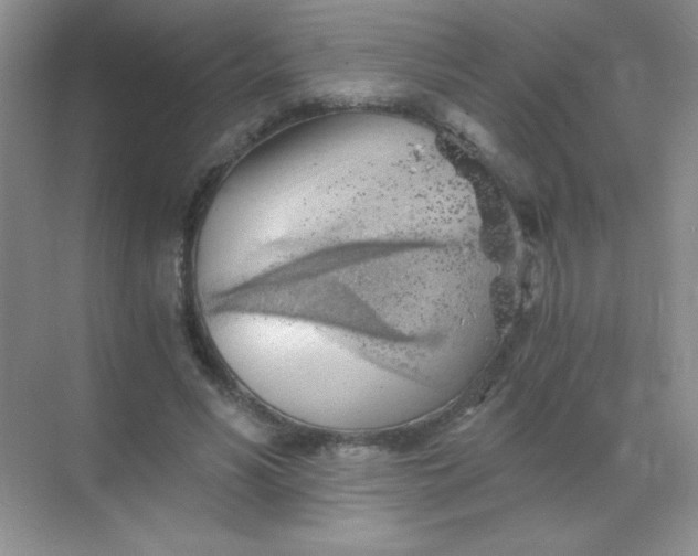 X0000068850590200605191953