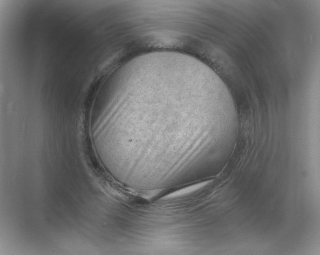 X0000068850591200605191953