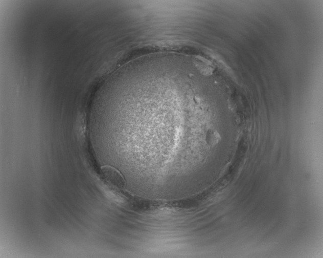 X0000068850593200605191953