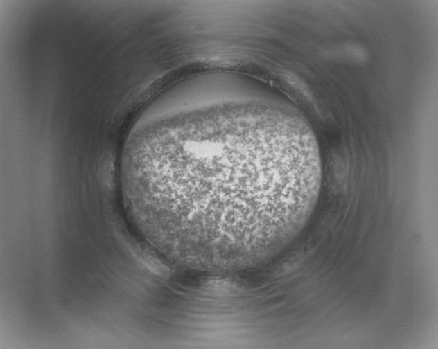 X0000068850596200605191953