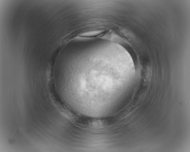 X0000068850600200605191953