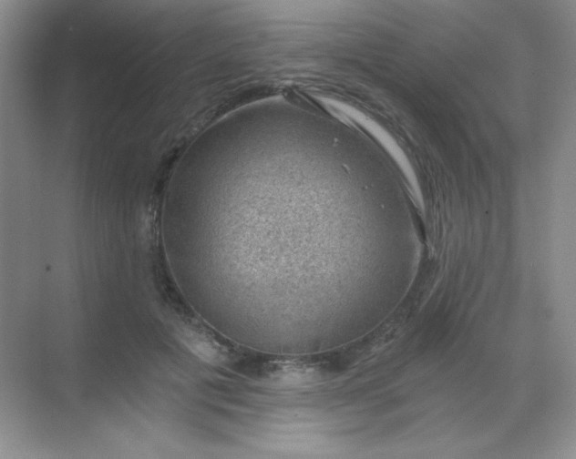 X0000068850601200605191953