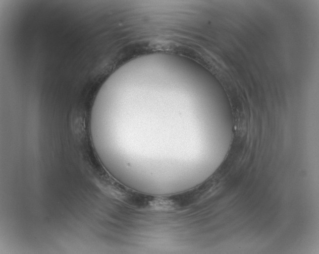 X0000068850603200605191953