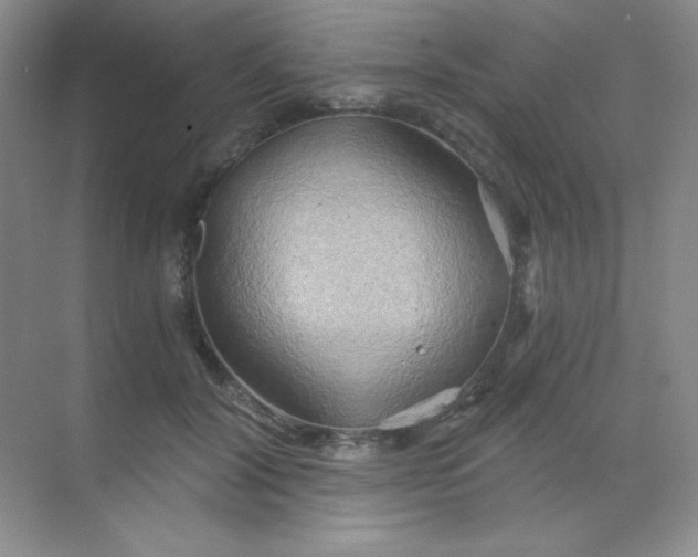 X0000068850604200605191953