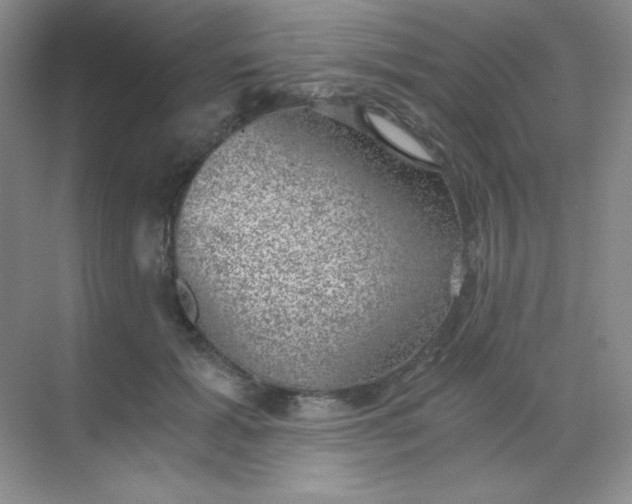 X0000068850605200605191953