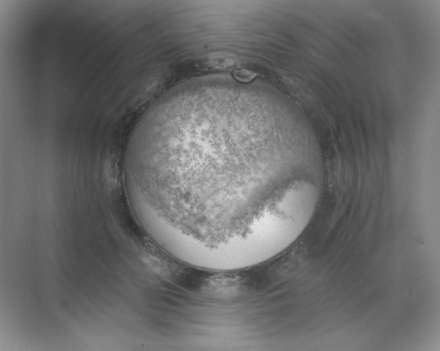 X0000068850606200605191953