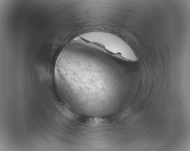 X0000068850607200605191953