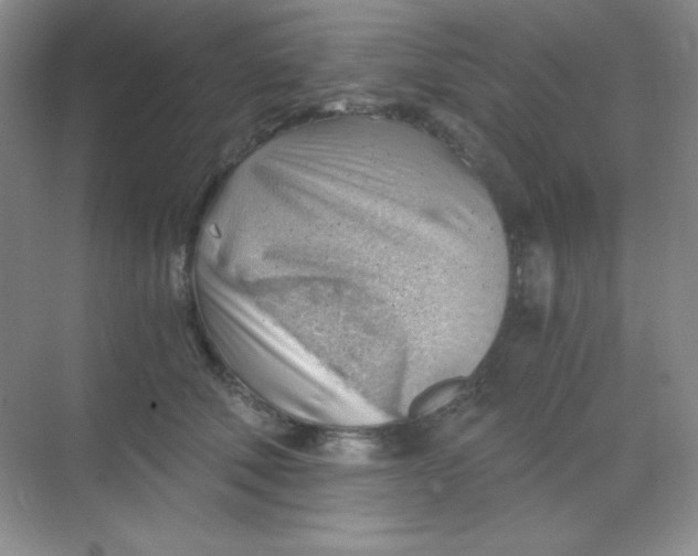 X0000068850610200605191953