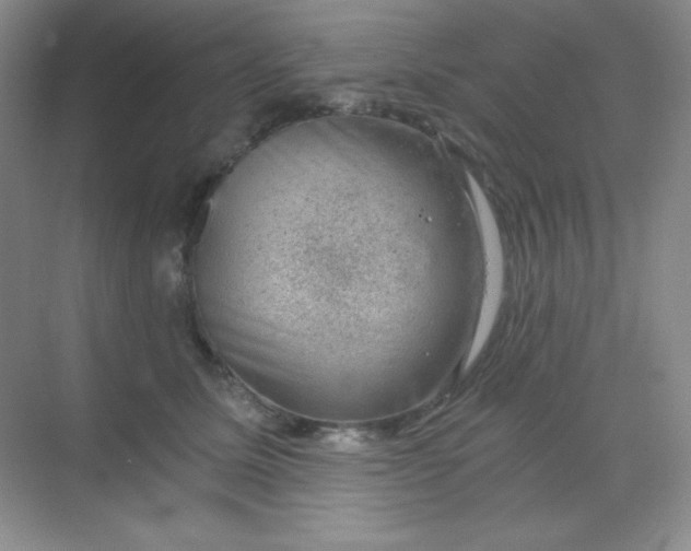 X0000068850611200605191953