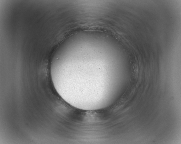 X0000068850612200605191953