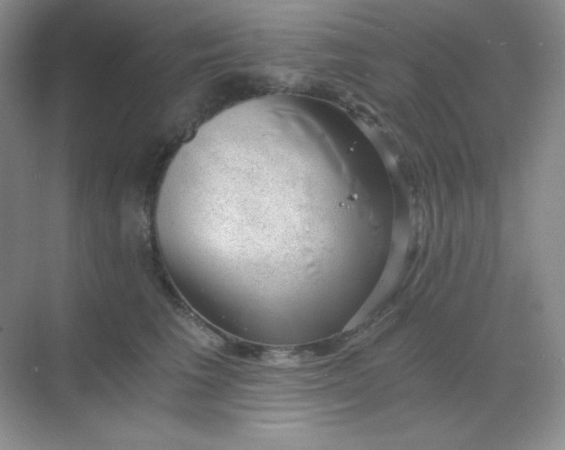 X0000068850613200605191953