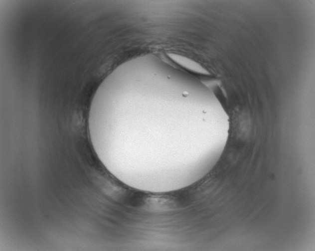 X0000068850614200605191953