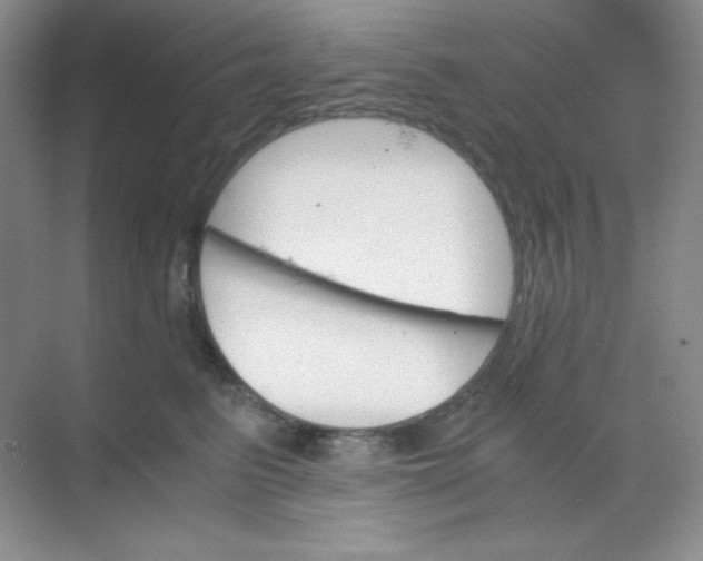 X0000068850615200605191953