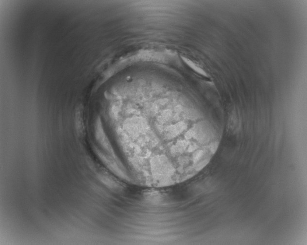 X0000068850616200605191953