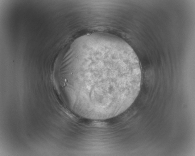 X0000068850617200605191953