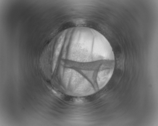 X0000068850618200605191953