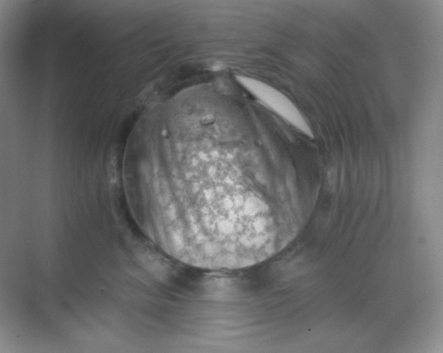 X0000068850620200605191953