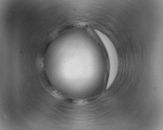 X0000068850621200605191953