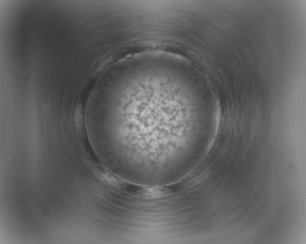 X0000068850623200605191953