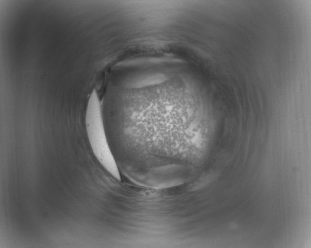 X0000068850624200605191953