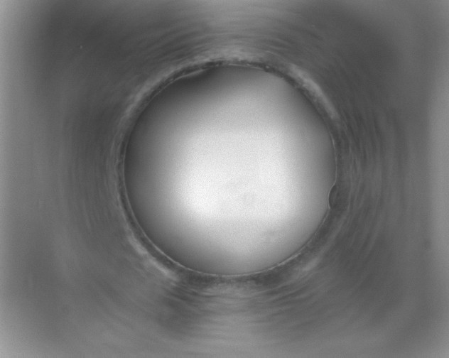 X0000068850625200605191952