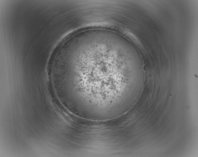 X0000068850628200605191952