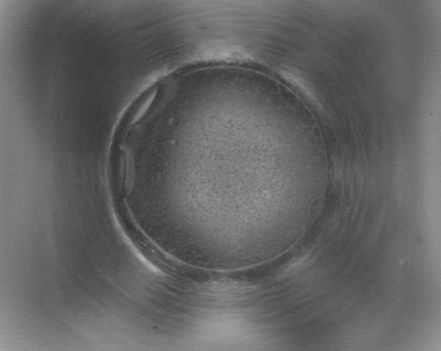 X0000068850630200605191952