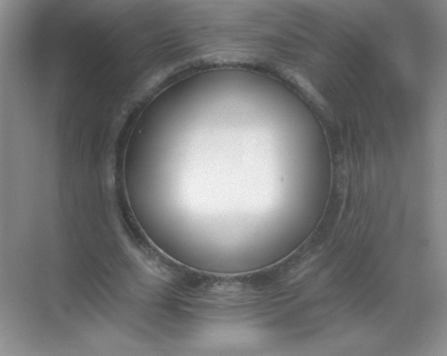 X0000068850631200605191952