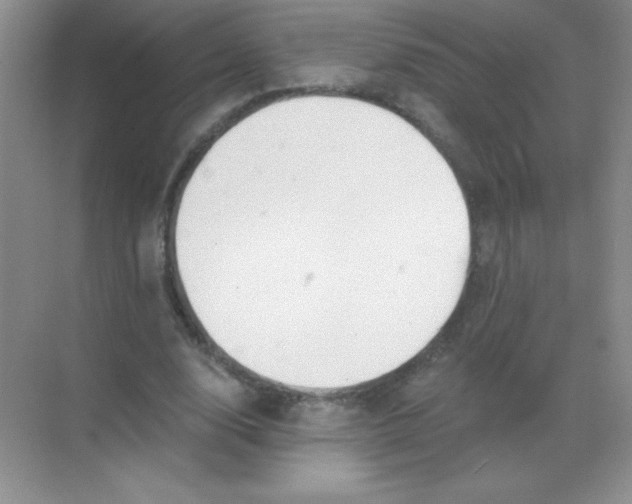 X0000068850632200605191952