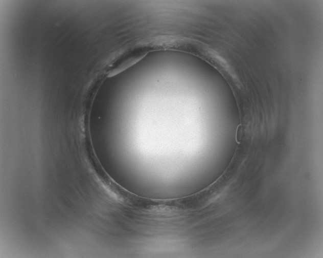 X0000068850633200605191952