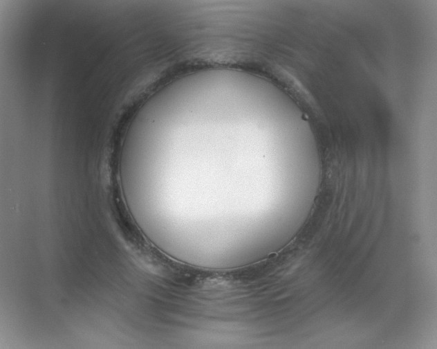 X0000068850635200605191952