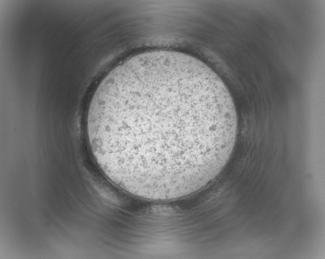 X0000068850636200605191952