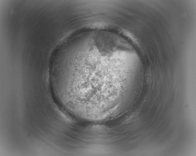 X0000068850637200605191952