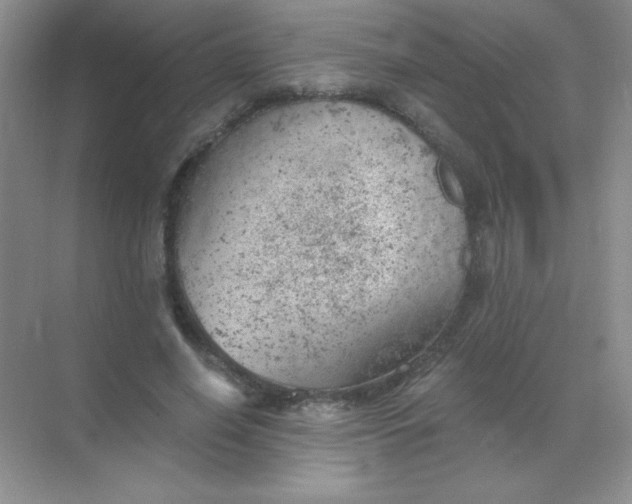 X0000068850638200605191952