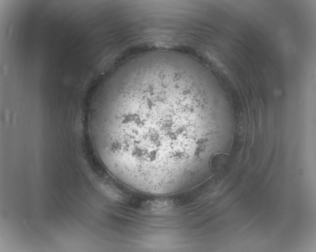 X0000068850639200605191952