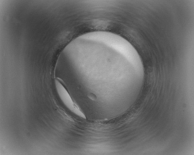 X0000068850641200605191952