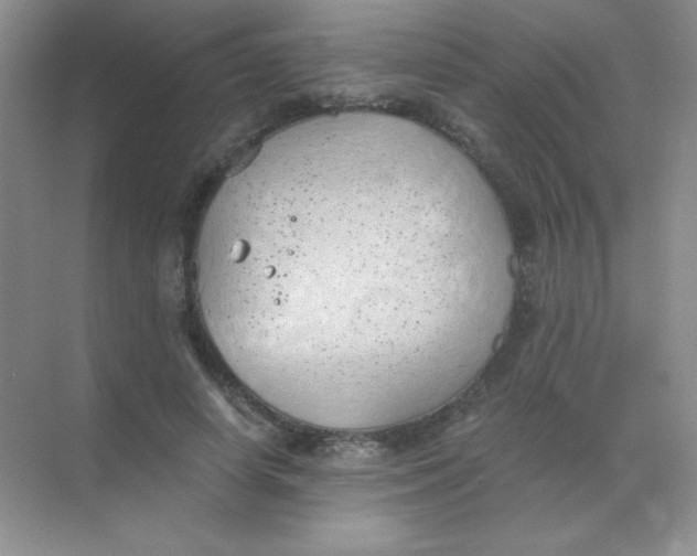 X0000068850642200605191952