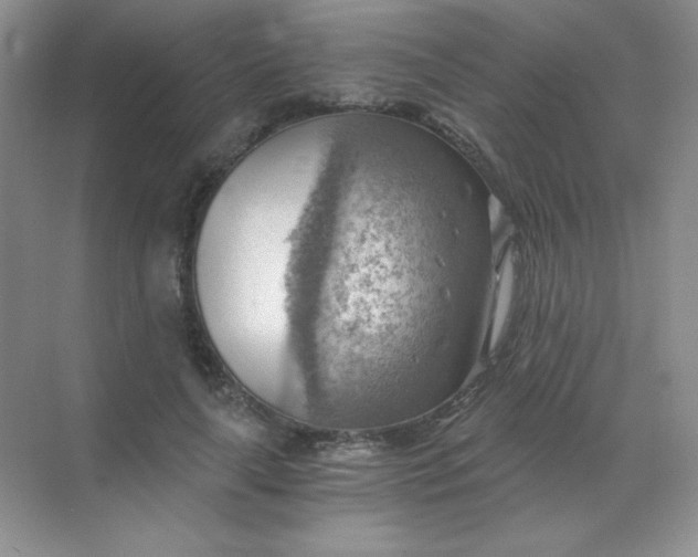 X0000068850643200605191952