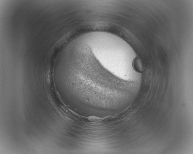 X0000068850644200605191952