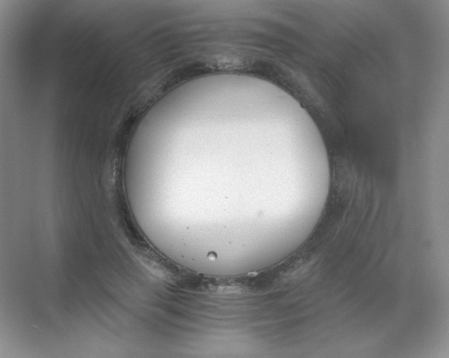 X0000068850645200605191952