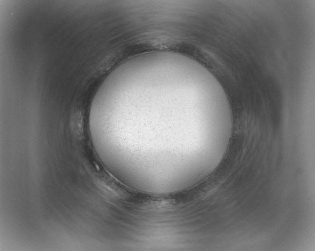 X0000068850646200605191952