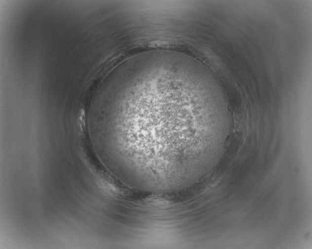 X0000068850648200605191952