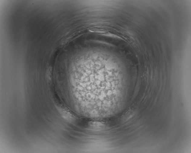 X0000068850649200605191952