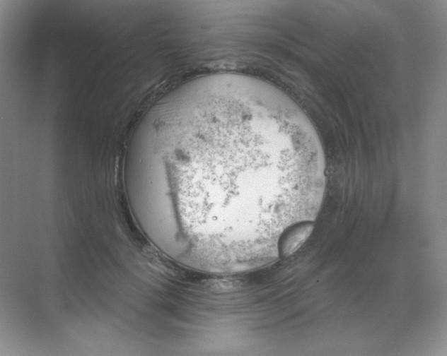 X0000068850652200605191952